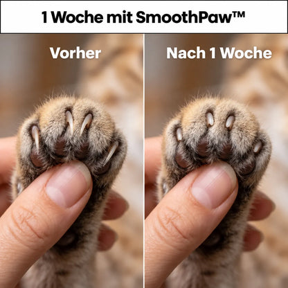 SmoothPaw